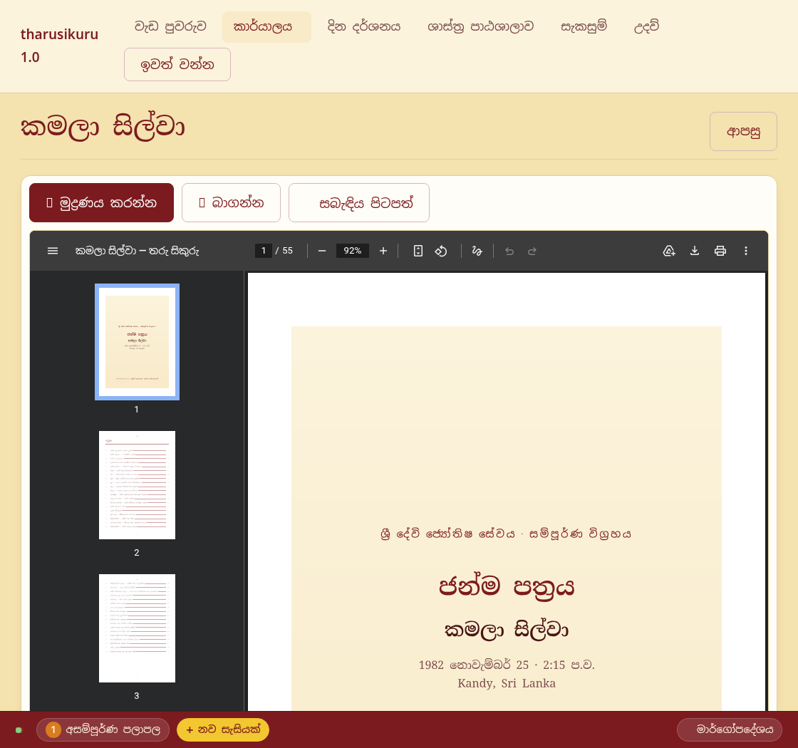වාර්තා කියවීමේ තිරය